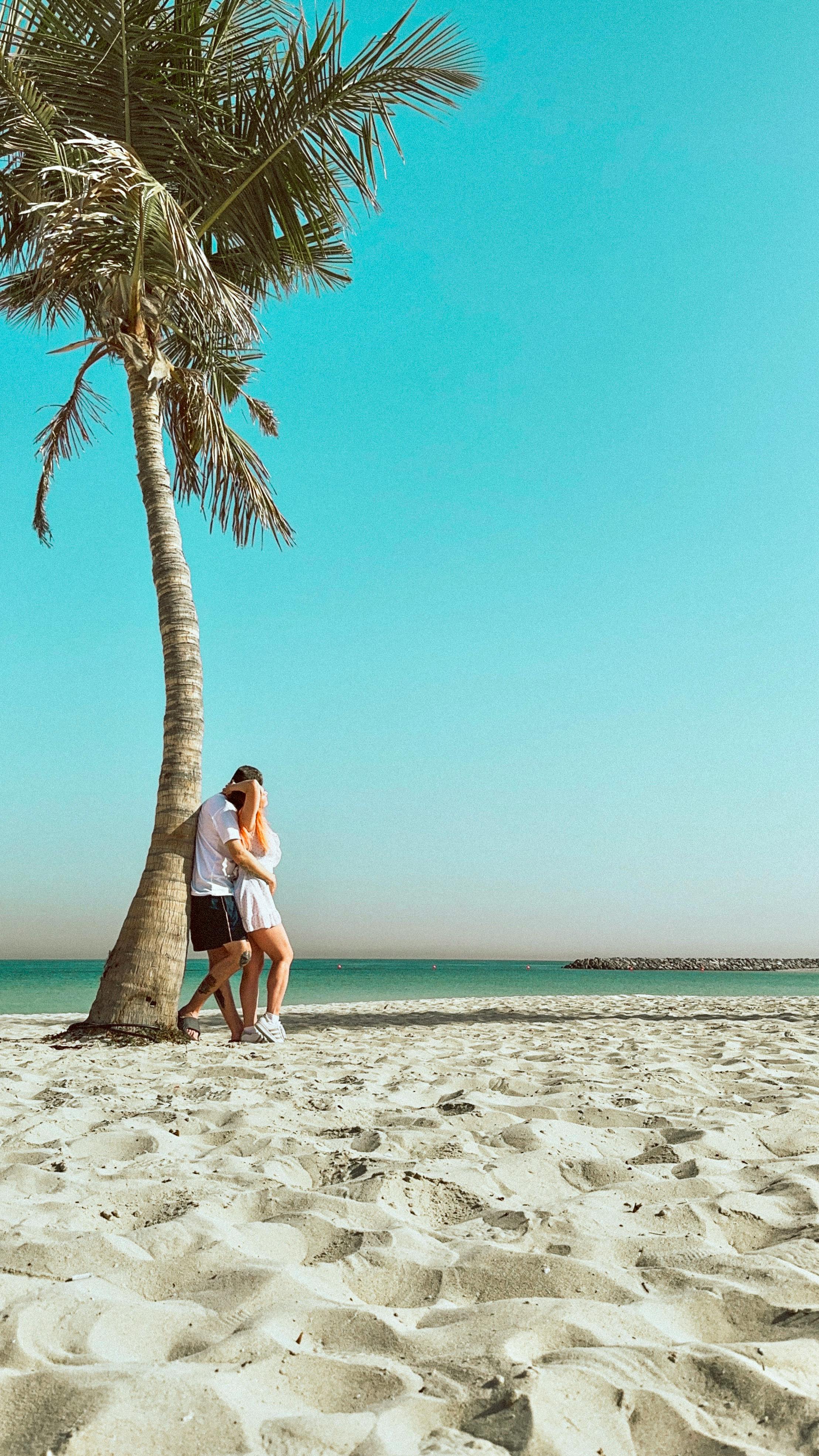A couple sharing a quiet moment beneath a palm tree beside the Gulf